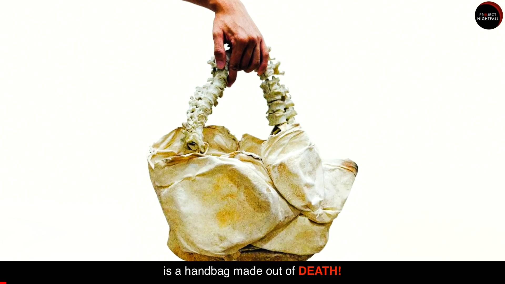 This fashion designer used a child's spine to make a bag