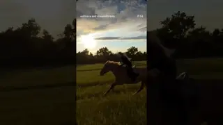 Who, if not me, will go to the fields on an untrained horse?