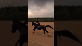 poetry in motion 🐎