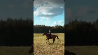 come for a ride 🐎