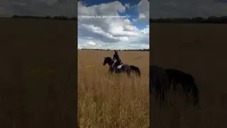 🌾🖤