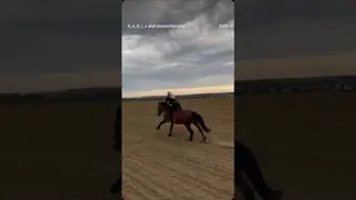 🙌🖤🐴
