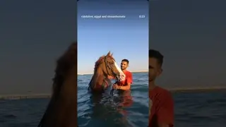 🐴💦 Swim. Ride. Repeat.Your Red Sea bucket list starts here 🌊✨📍 Hurghada – Egypt