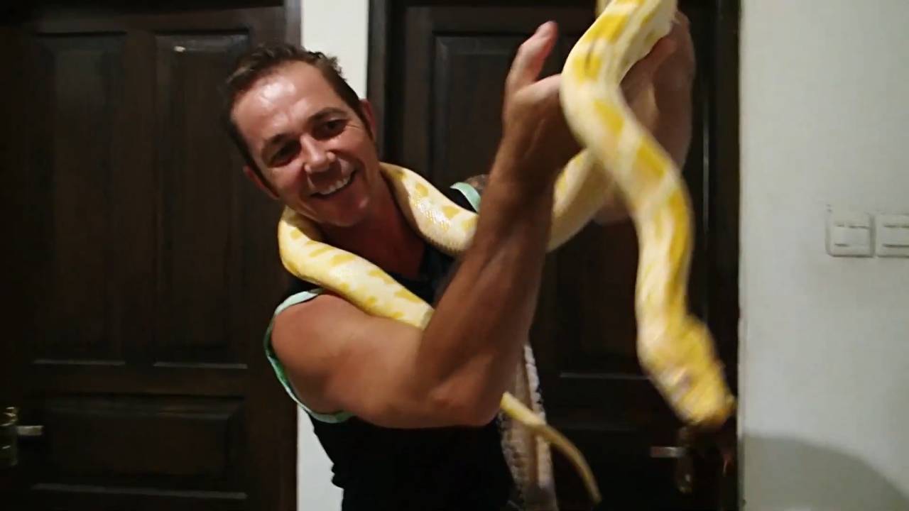 Snake vs chicken drumsticks | Feeding snakes chicken with snake dude
