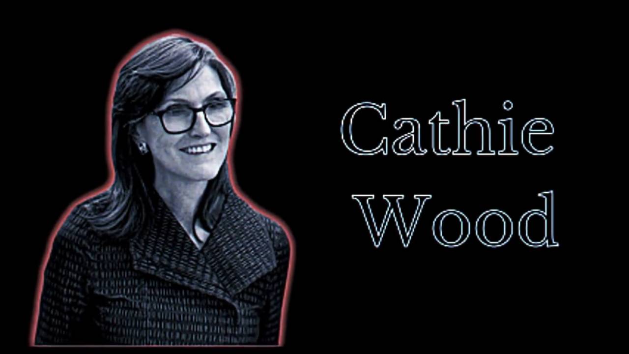 Cathie Wood_s journey from idea to reality