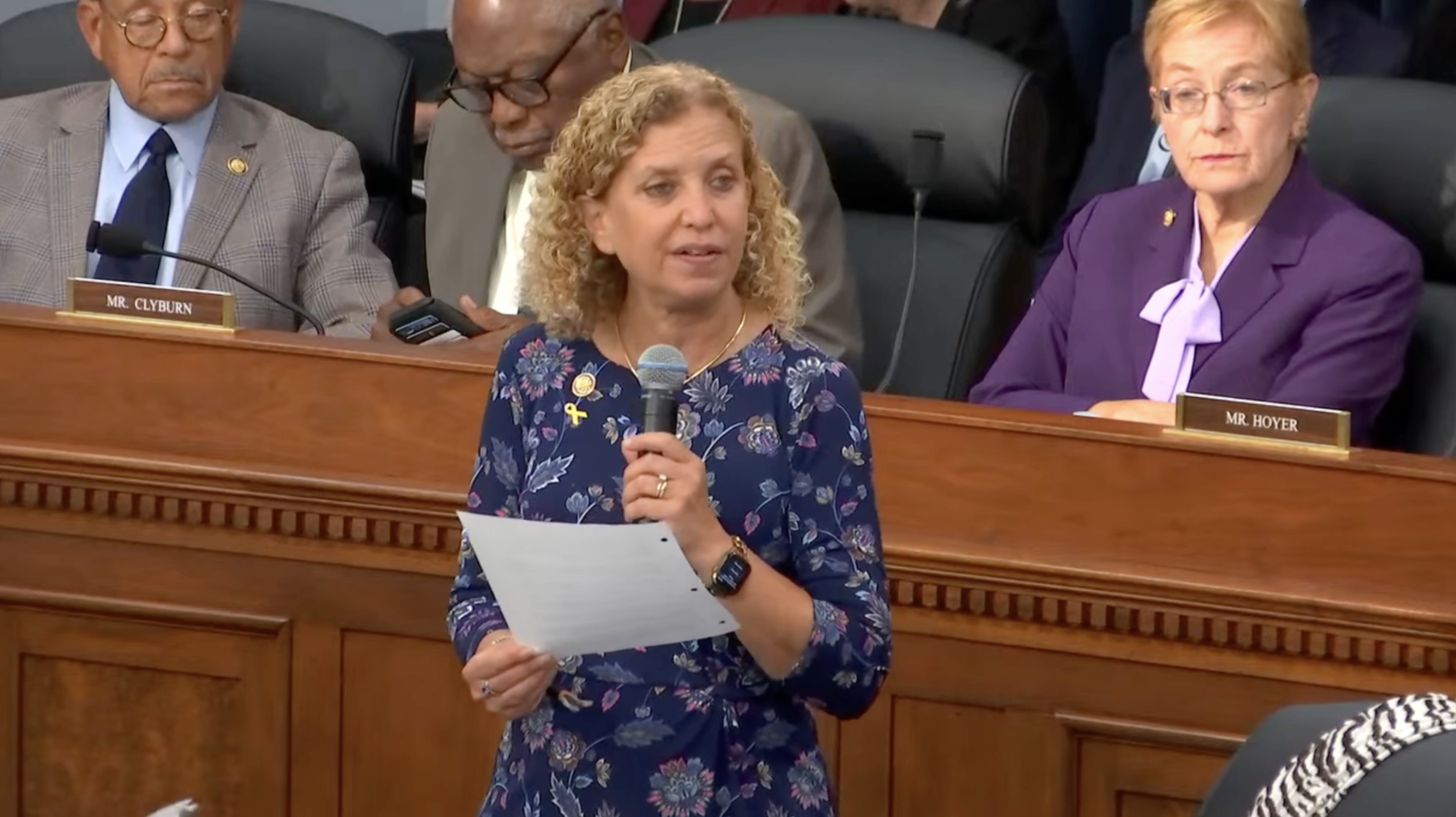 House Appropriations Markup Fiscal Year 2026 - Rep Schultz (D): “This is Heartless Cruelty Parading as Policy”