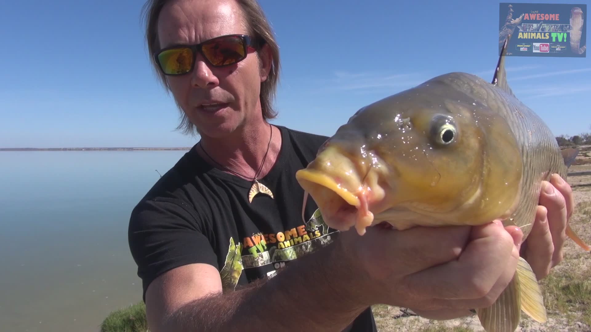 Carp fishing | Catch and cook carp for sushi with bush tucker