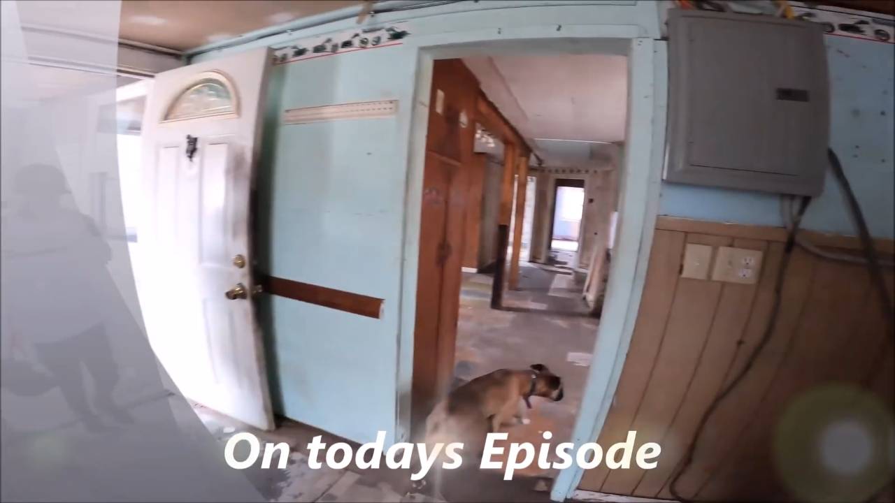 First time bank foreclosure | Squatters refused to leave
