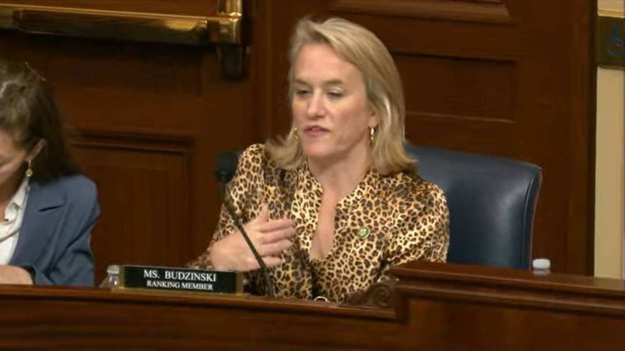 House Veterans' Affairs - Rep. Budzinski (D-IL): “We don’t want to prevent human involvement from being a part of suicide prevention” 