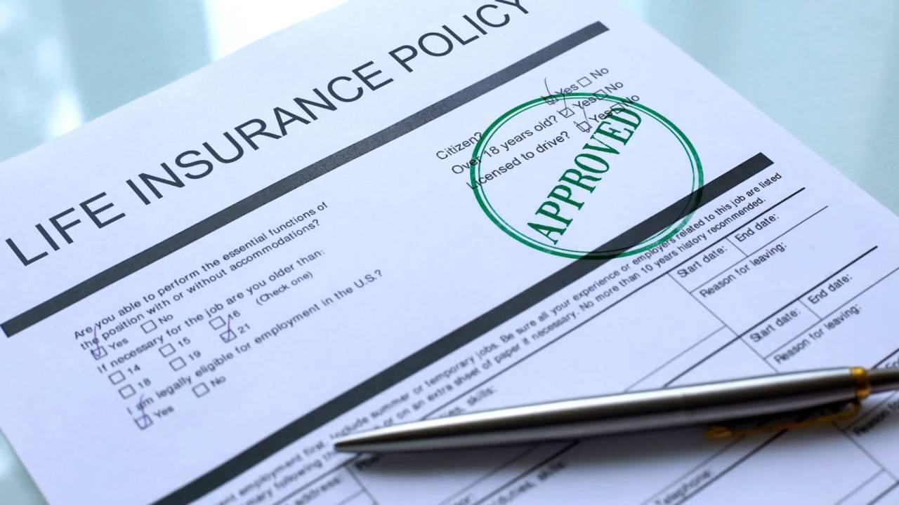 Financial safety net essentials