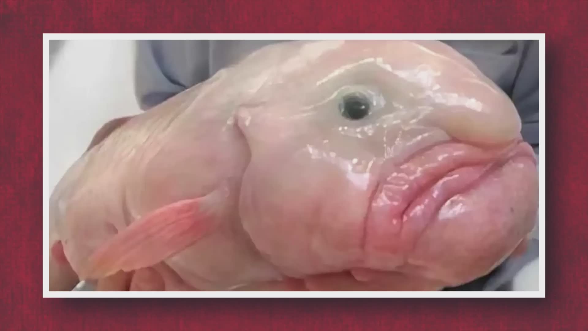 25 strange realities that will amaze you
