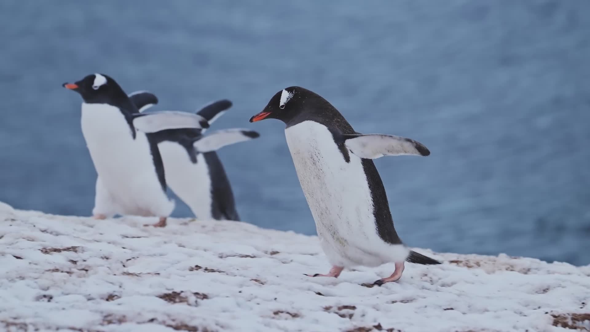 25 unbelievable truths that sound like fiction