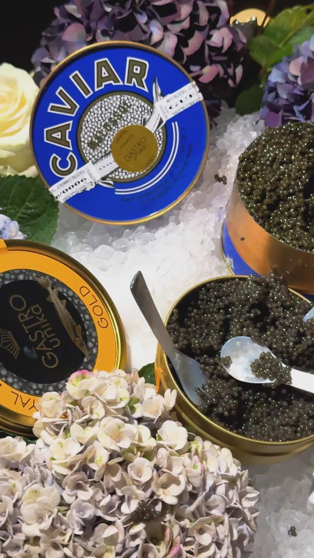 Luksuriøs champagne og kaviar lansering