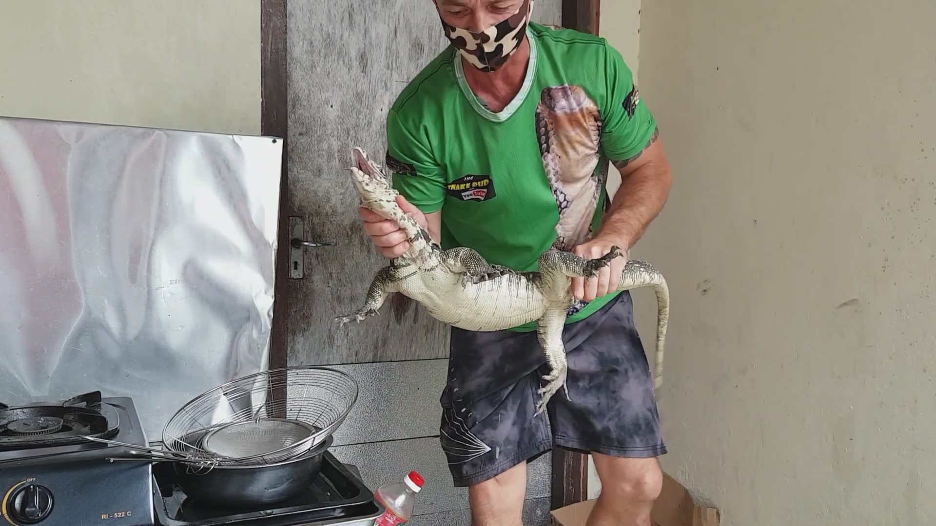 Monitor lizard vs fluffy dog