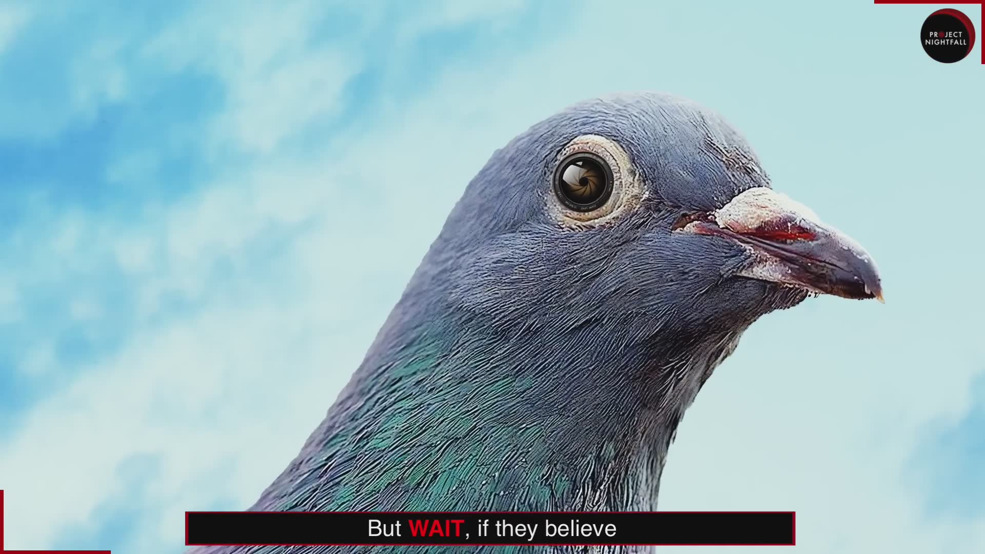 Are birds just hidden cameras?