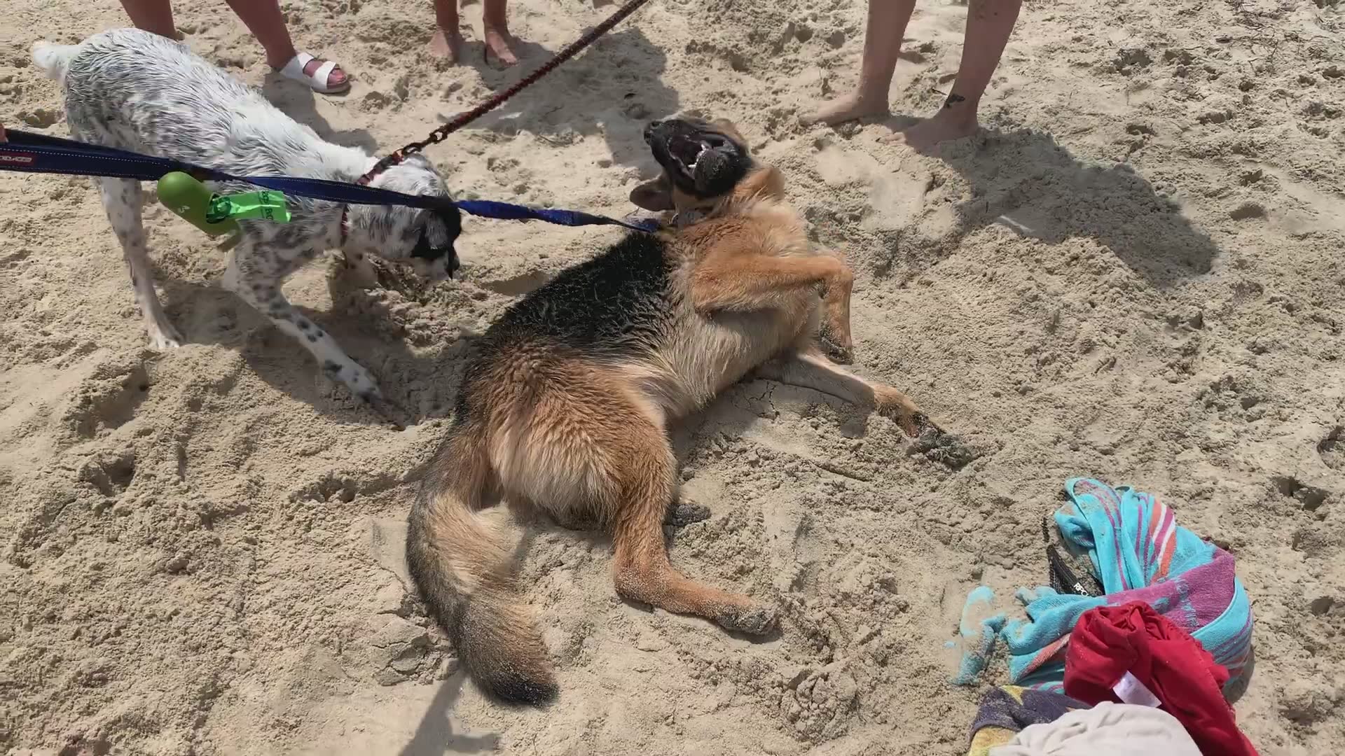 Beach holiday