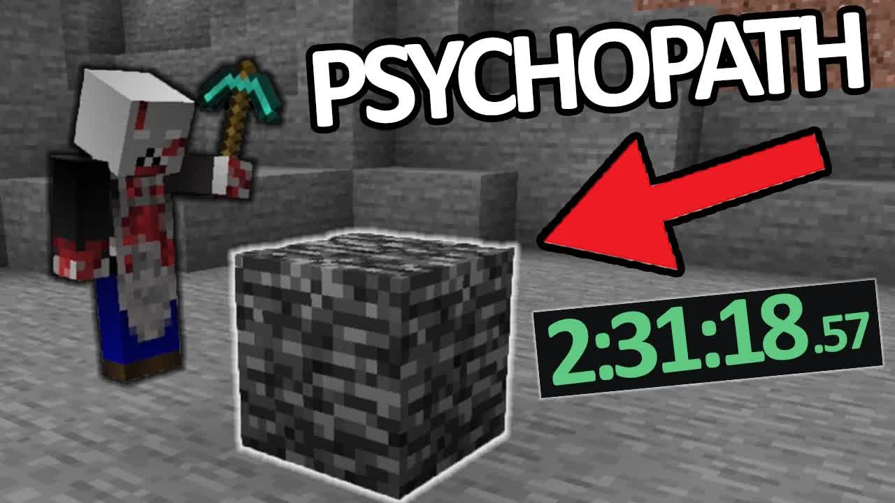 Types of People Portrayed by Minecraft #3