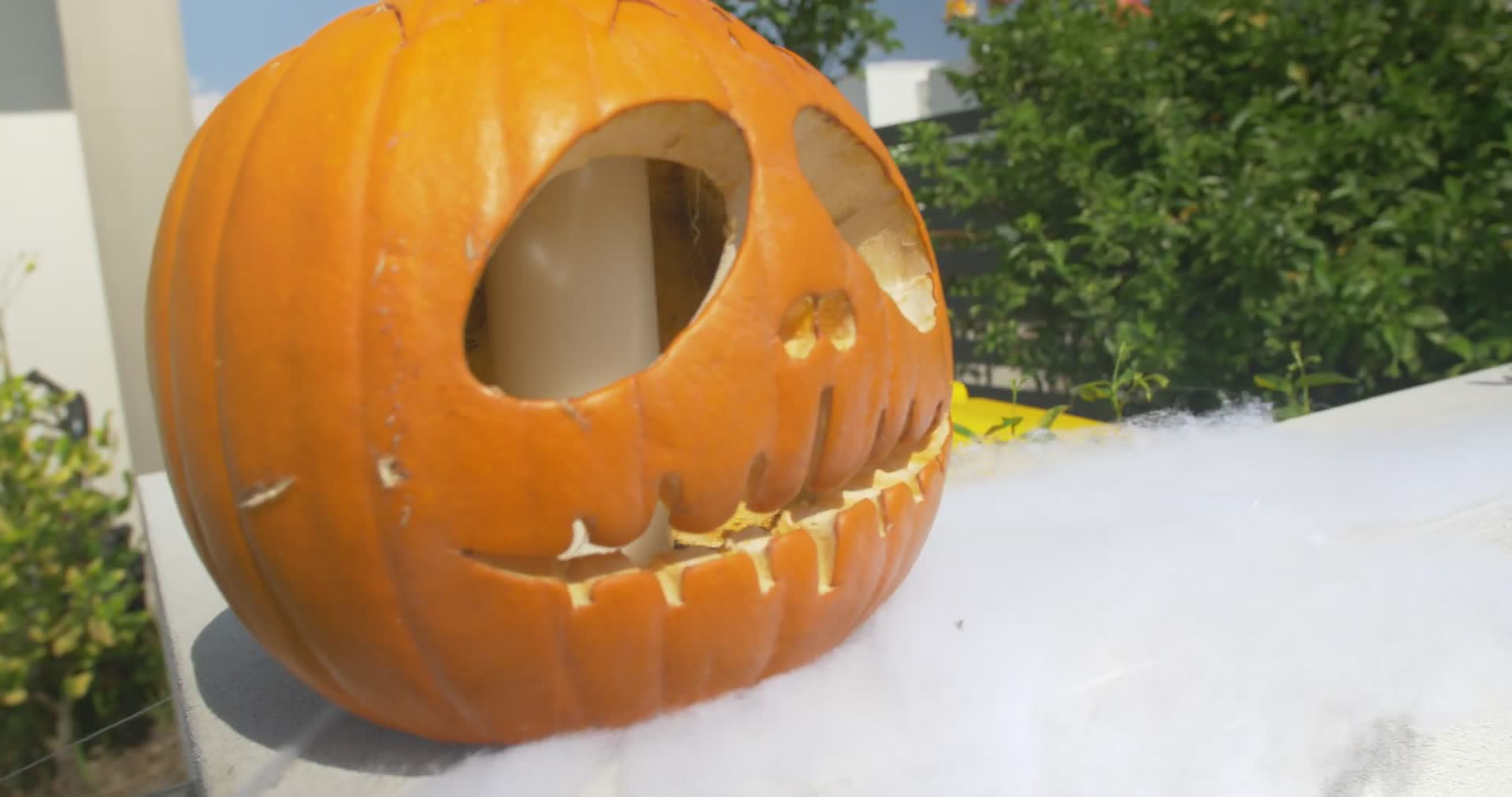 Halloween nearly killed us