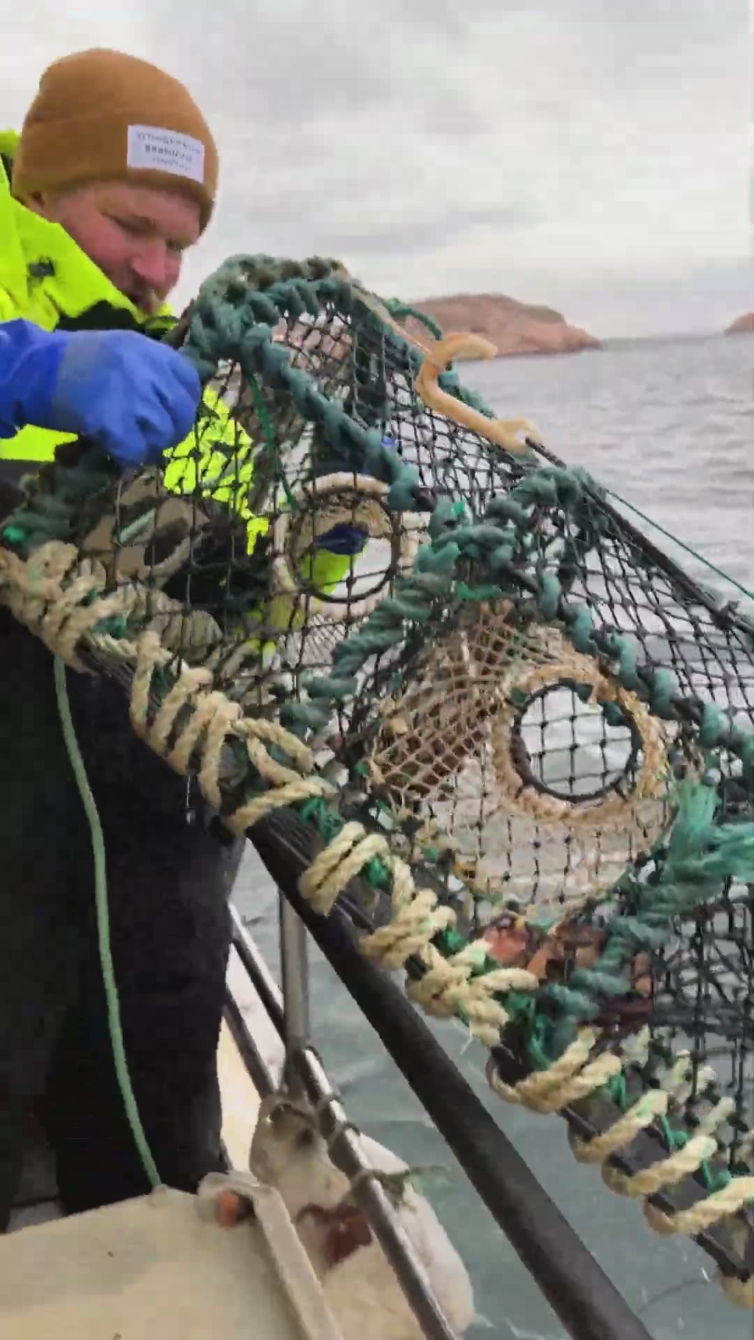 Vi dro hummerfiske i Vest-Sverige – vår guide