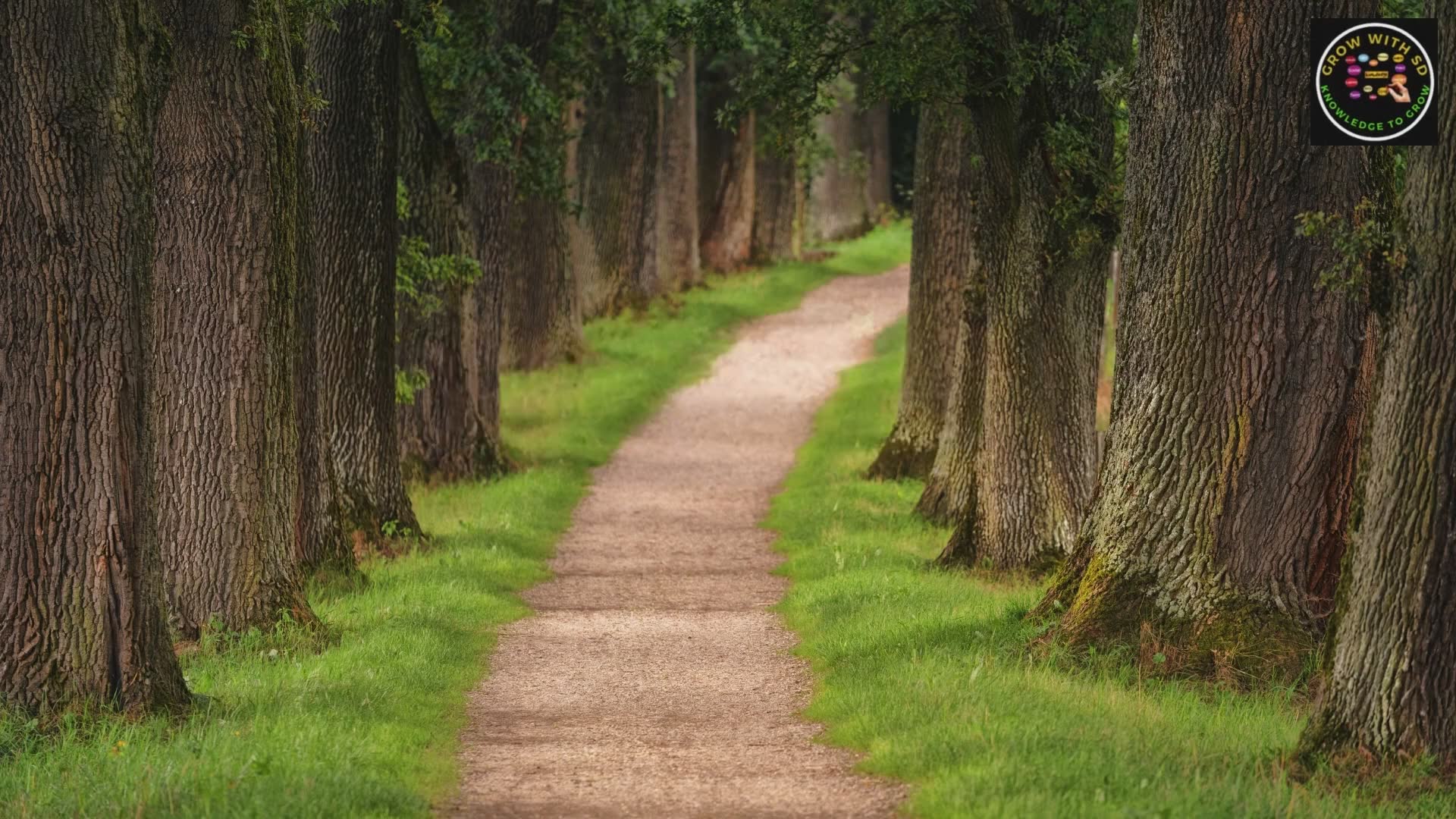 Effective ways to stay calm during life's toughest moments