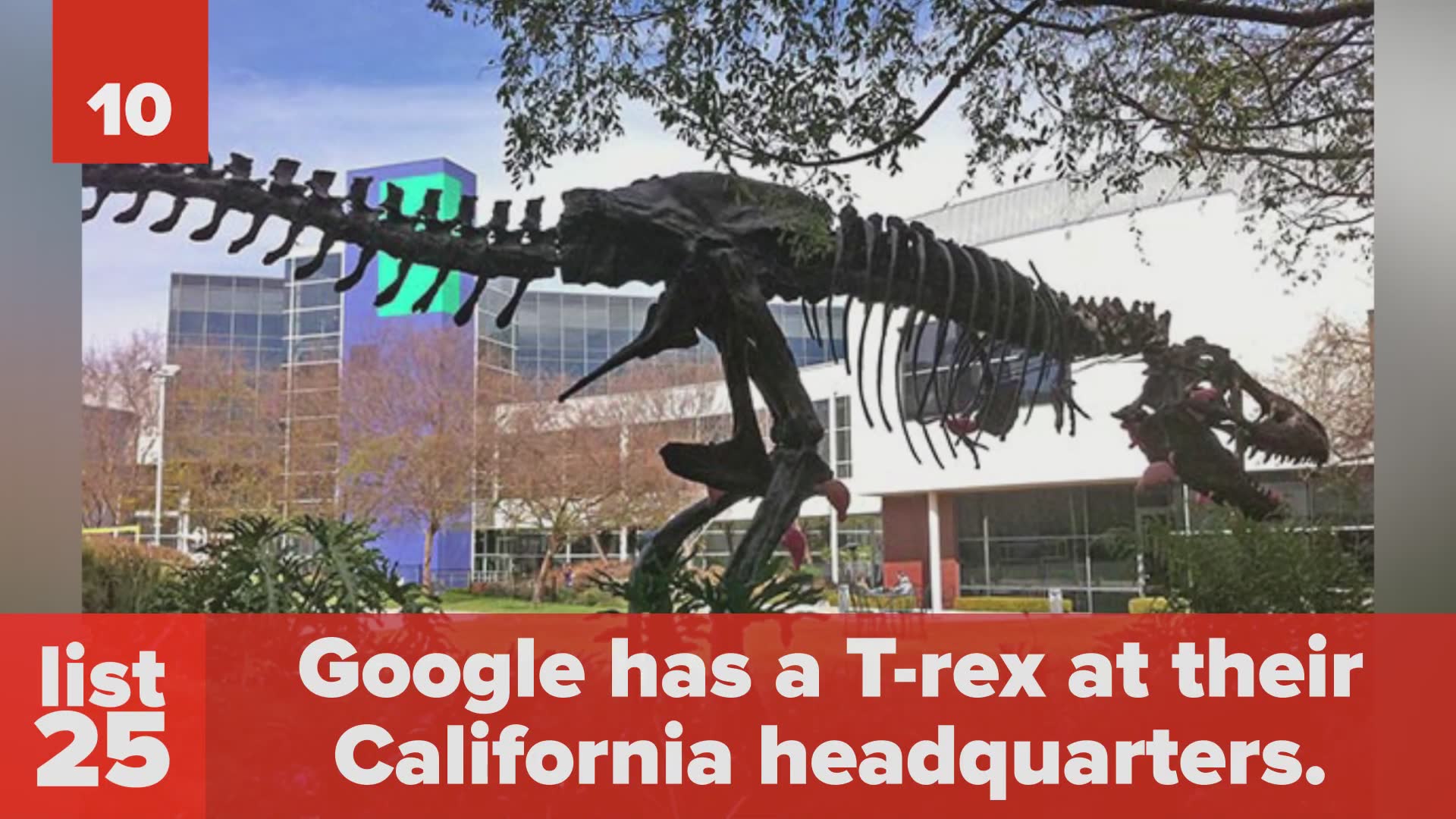 25 awesome facts about Google you'll be glad to know