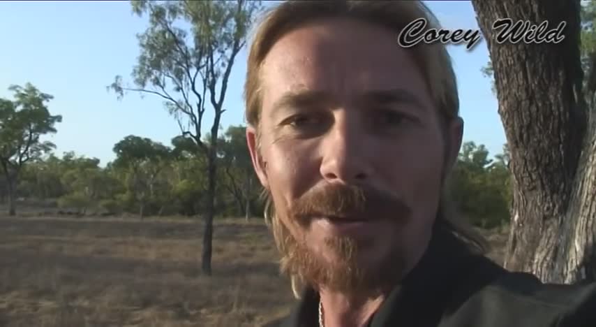 Life during an Australian outback muster