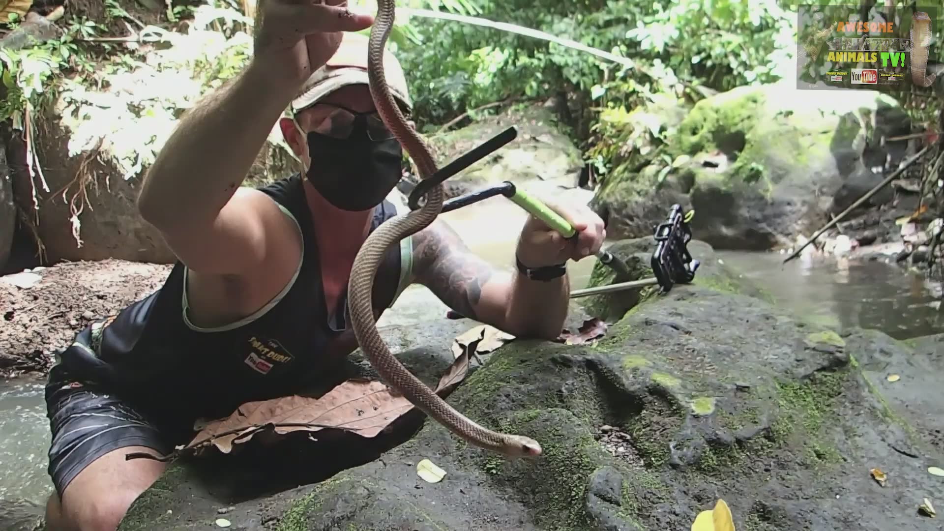 Rescuing cobra while capturing photos