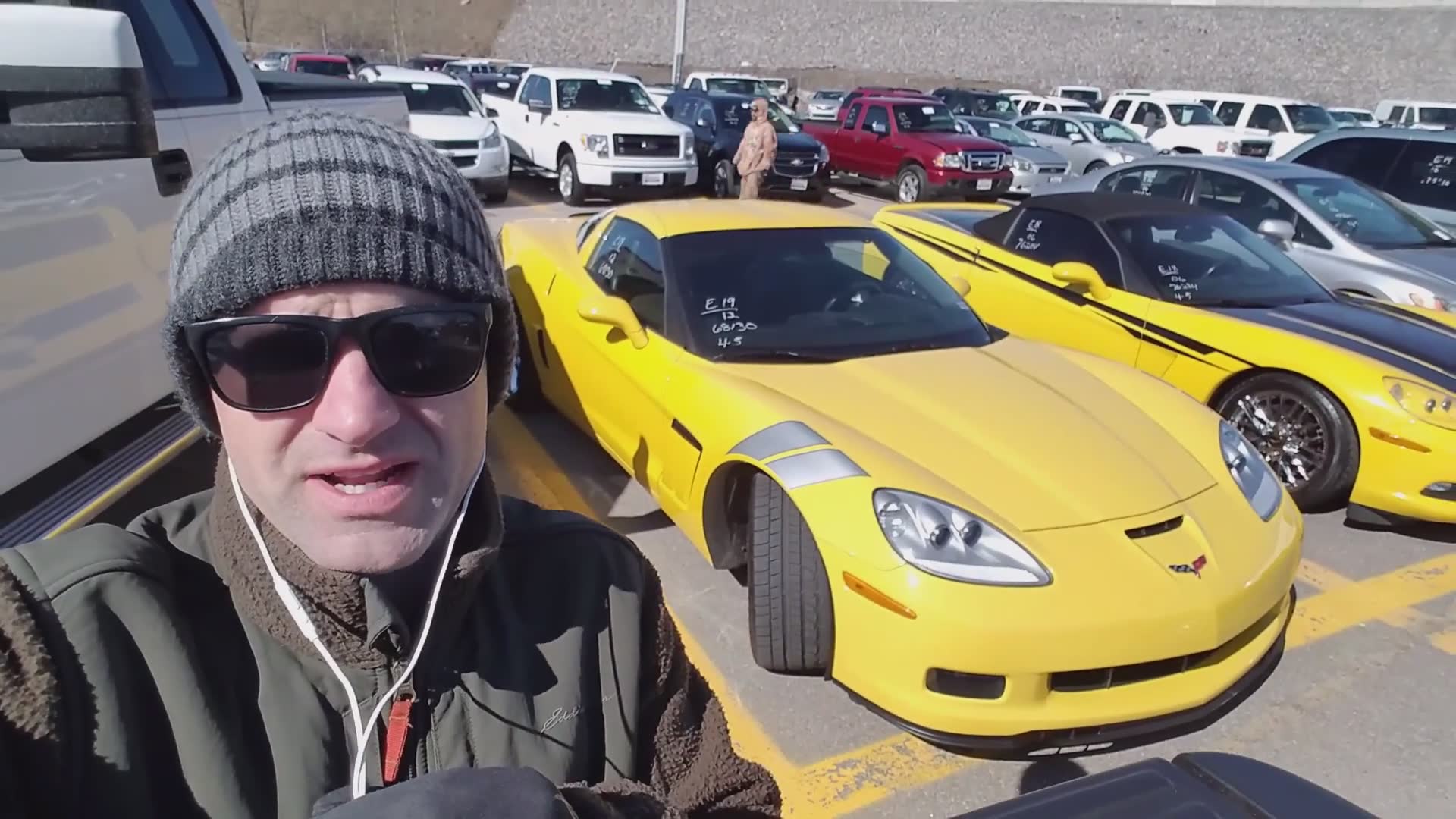 Wholesale Corvette pricing at car auction