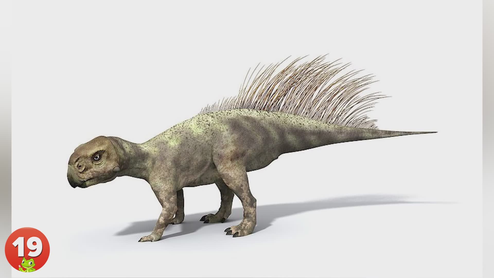 20 bizarre dinosaurs that would make great pets