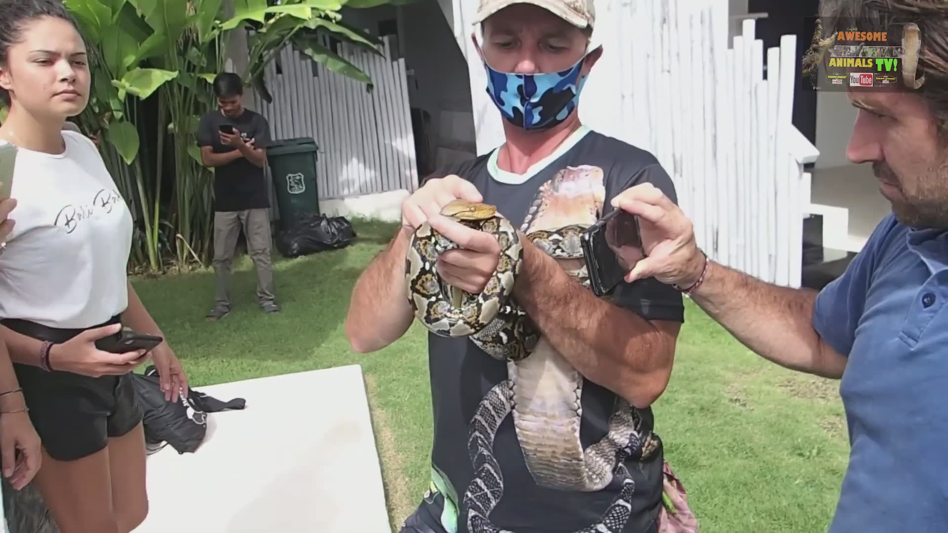 Snake expert rescues pit vipers and pythons