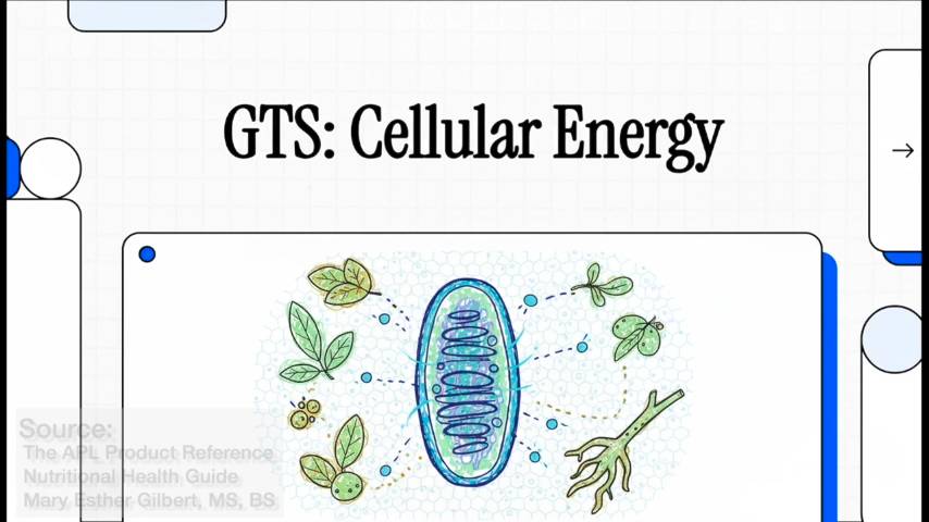 GTS Cellular Energy