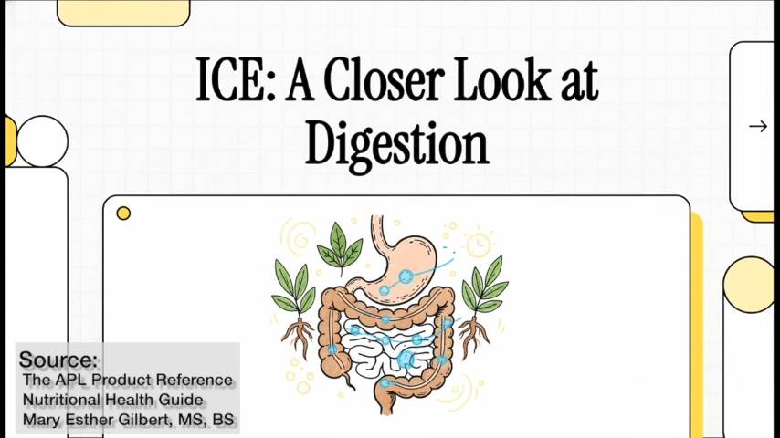 ICE: A Closer Look at Digestion