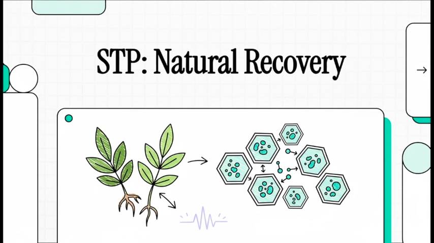 STP: Natural Recovery