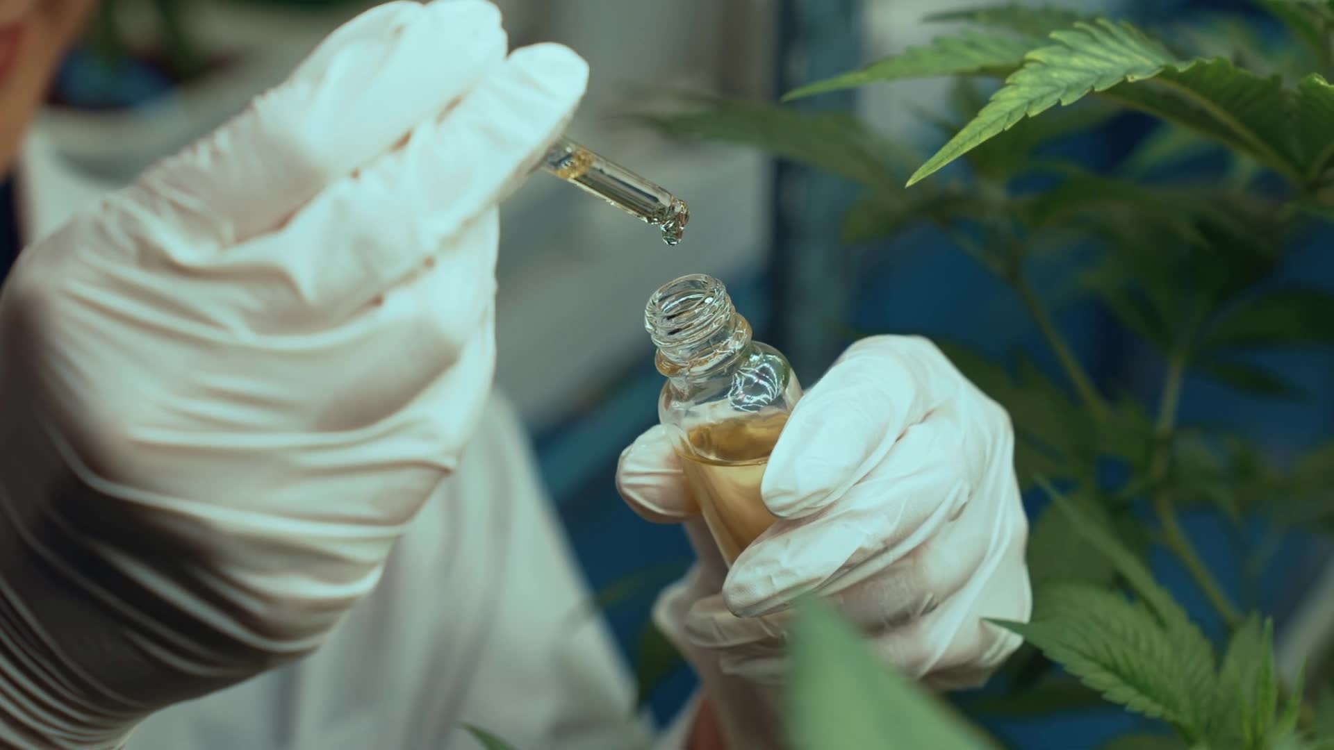 CBD oil examined: separating medical evidence from marketing claims in pain management