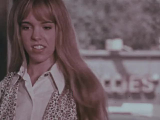 The Money Tree (1971)