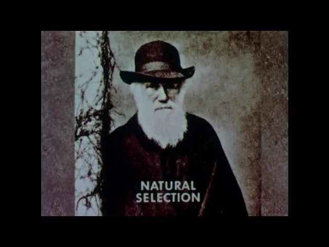How Living Things Change (1957)