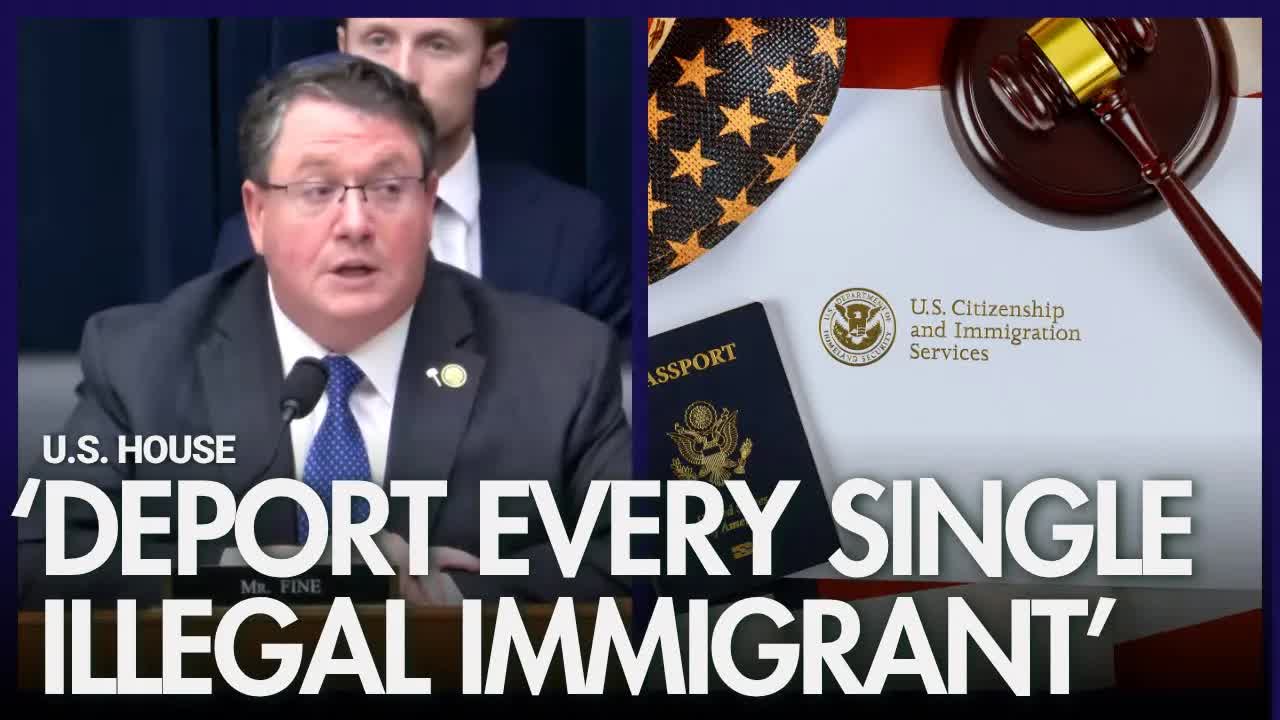 Florida Rep. Fine (R): "I think illegal immigrants are a scourge on this country"