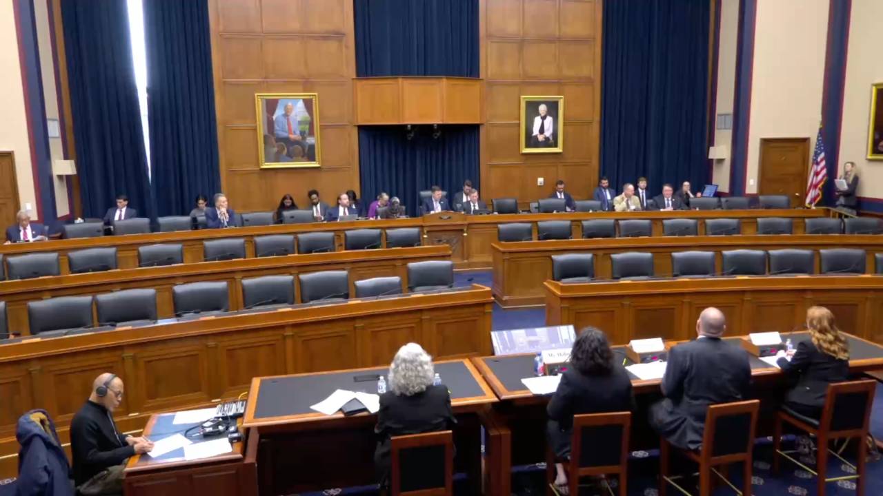 "E-Verify: Ensuring Lawful Employment in America”– Rep. Fine (FL-R): “I think illegal immigrants are a scourge on this country"
