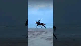 flying at the beach 🪽