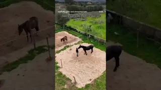 So solo che la vita, da quando siamo insieme è rifioritasi