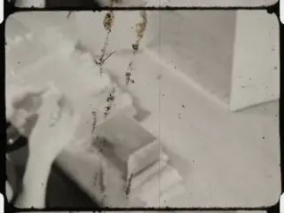 [Wrapping Toothbrushes, silent, 1939]