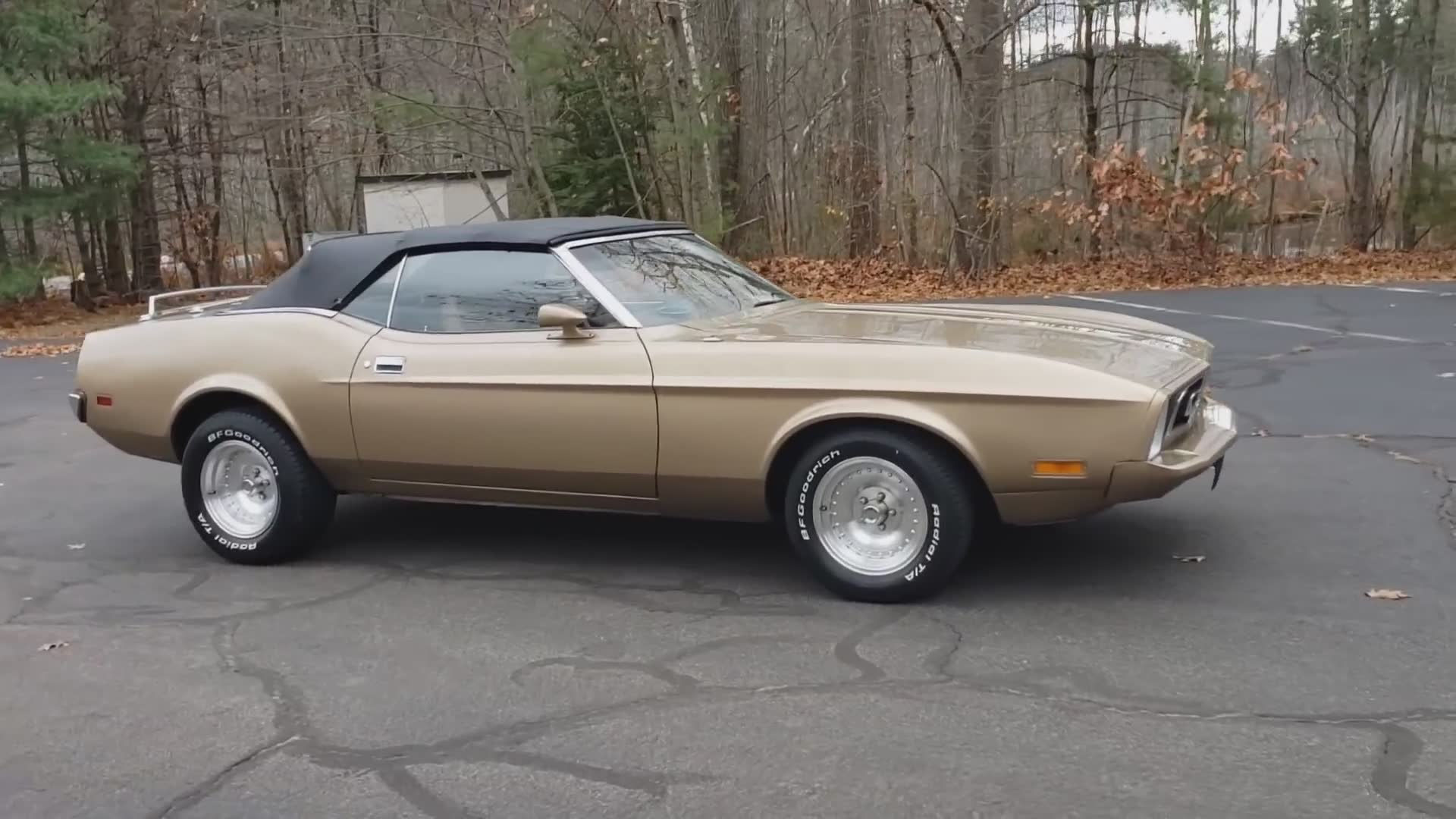 Discovering an incredible and unusual Mustang at auction
