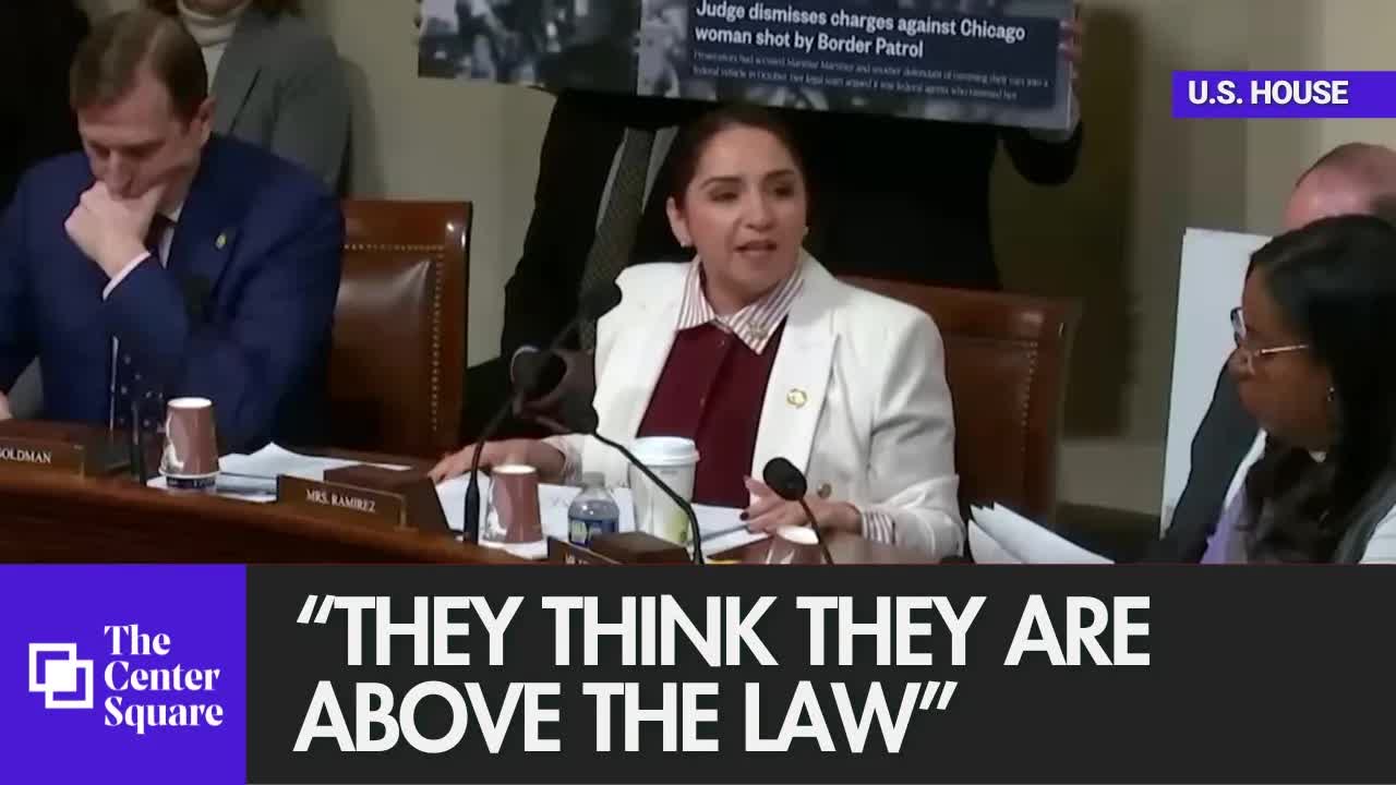Illinois Democrat claims "The DHS is the single biggest threat to public safety."