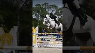Saving horses and riders from the fate of mediocre horse show experiences! 🐎🔝🤩