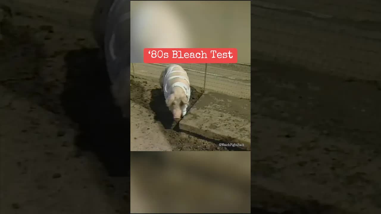‘80s Bleach Test