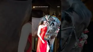 🎄 🐎 ✅ These two get more photogenic every time 🤩