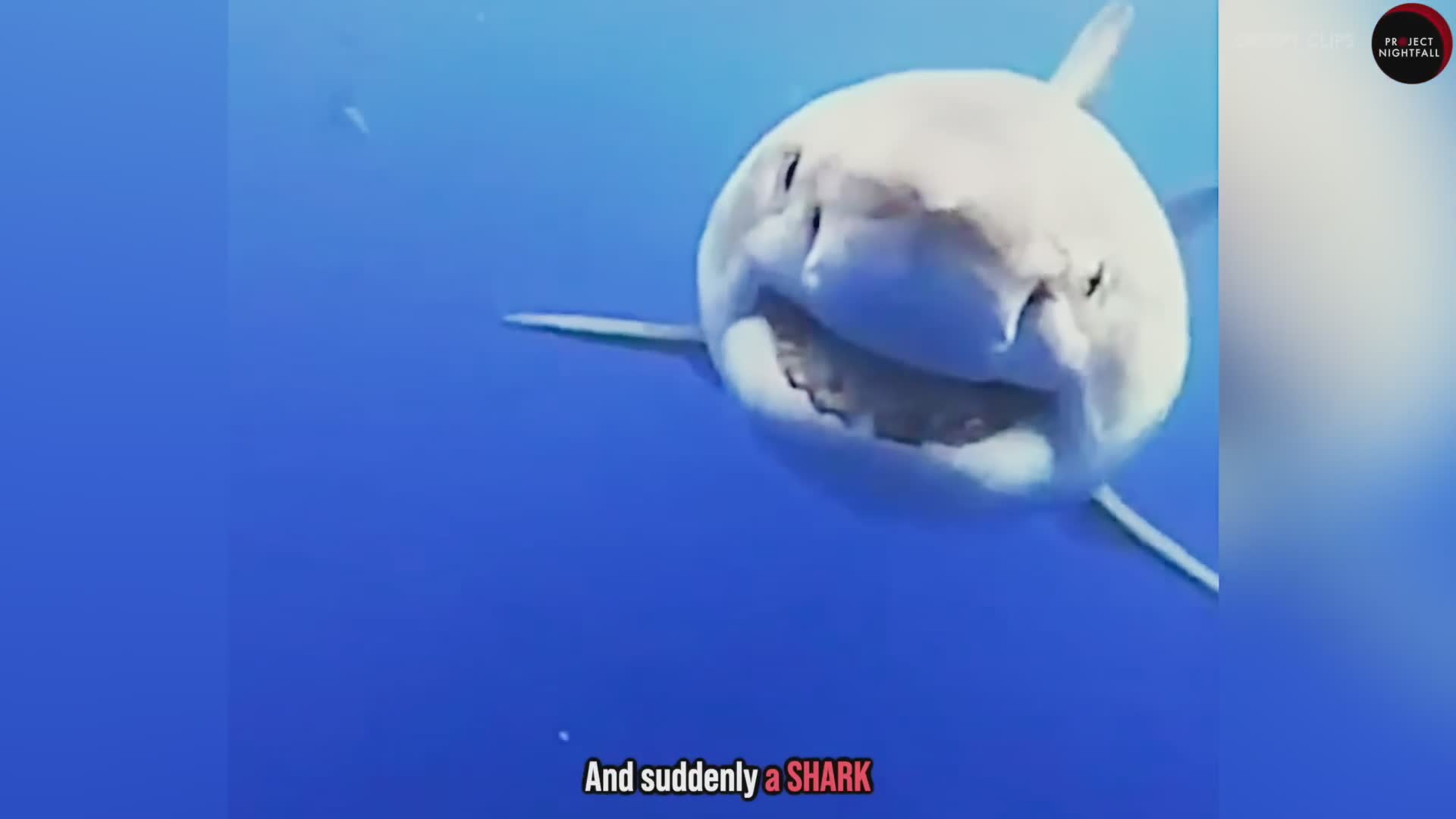 Counterintuitive techniques that actually work against predators
