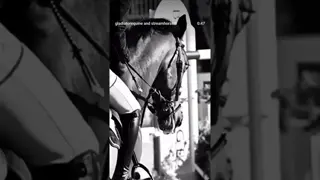 A mission of healing and deep commitment to the horse are etched into every fiber. 🐴❤️‍🔥