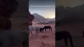 Life on the trail is simple: the horses shine, and we try to keep up.