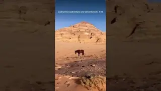 33 seconds of pure Wadi Rum trail joy, featuring views, good food, relaxed canters & sunsets